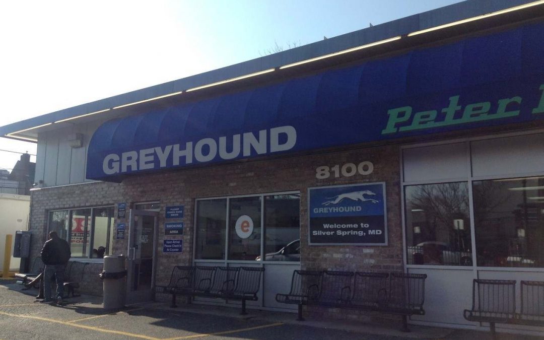 Flixmobility hat die US-Fernbuslinie Greyhound übernommen