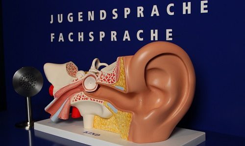 Sind Sie ganz Ohr? Redensarten rund ums Hören | Online-Express-Führung